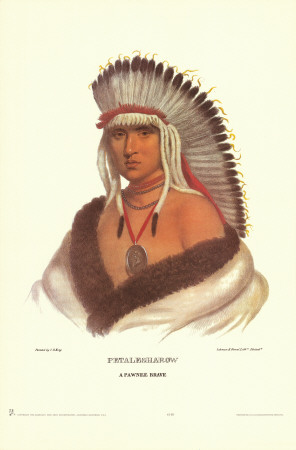 Pawnee Brave Print Pawnee Brave Print