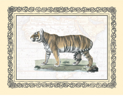 Tiger Print Tiger Print