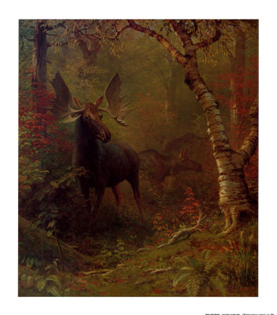 Moose Print Moose Print