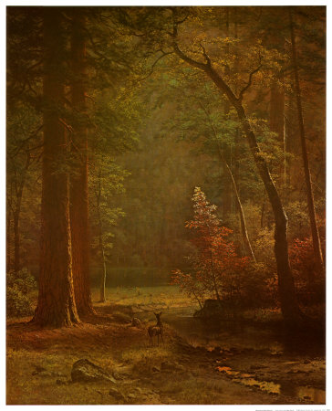 Dogwood Print Dogwood Print