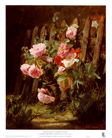 Pink Roses by a Garden Fence Print Pink Roses by a Garden Fence Print
