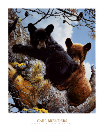 High Adventure Print High Adventure Print