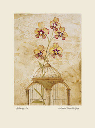 Gilded Cage I Print Gilded Cage I Print