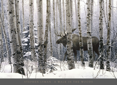A Walk in the Woods Print A Walk in the Woods Print