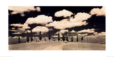 Cypress Trees, Tuscany Print Cypress Trees, Tuscany Print