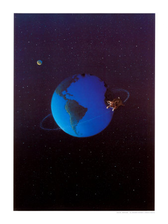 Satellite Pig Print Satellite Pig Print