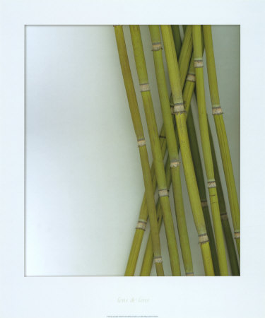 Bamboo Print Bamboo Print