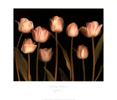 Spring Chorus Print Spring Chorus Print