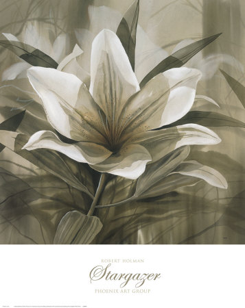 Stargazer Print Stargazer Print