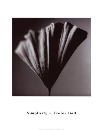 Simplicity Print Simplicity Print