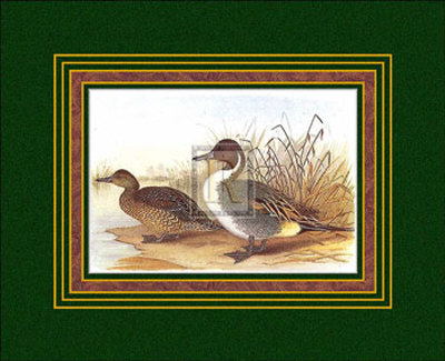Ducks I Print Ducks I Print
