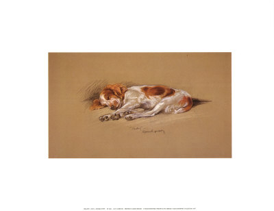 "Judy, a Spaniel Puppy" Print