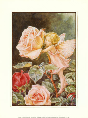 The Rose Fairy Print The Rose Fairy Print
