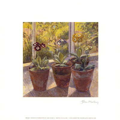 Pansies in Flower Pots Print Pansies in Flower Pots Print