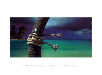 Island Breeze Print Island Breeze Print
