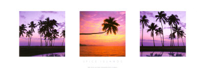 Spice Islands Print Spice Islands Print