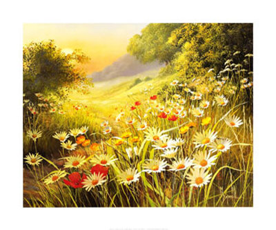 Evening Sun Print Evening Sun Print