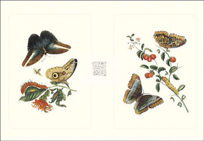 Entomology I Print Entomology I Print