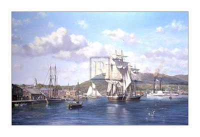 Aurelia at Camden, Maine Print Aurelia at Camden, Maine Print