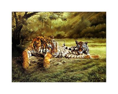 Tiger's Eye Print Tiger's Eye Print