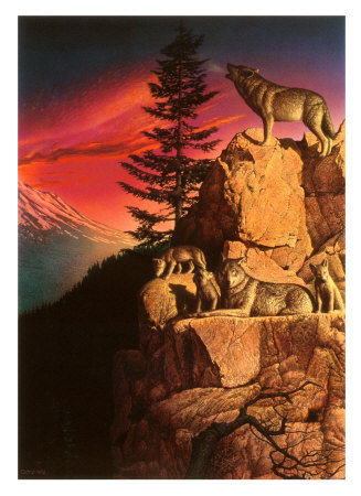 Wolf Ridge Print Wolf Ridge Print