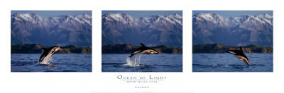 Ocean Of Light Print Ocean Of Light Print