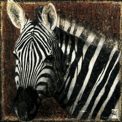 Zebra Portrait Print Zebra Portrait Print