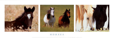 Horses Print Horses Print