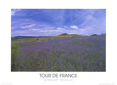 Tour de France Print Tour de France Print