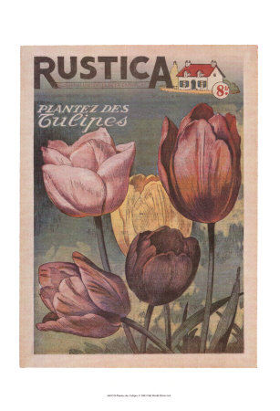 Plantez des Tulips Print Plantez des Tulips Print