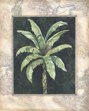 Banana Palm I Print Banana Palm I Print