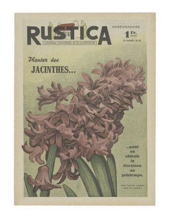 Plantez des Jacinthes Print Plantez des Jacinthes Print