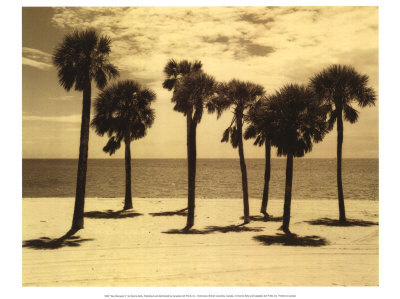 Key Biscayne II Print Key Biscayne II Print