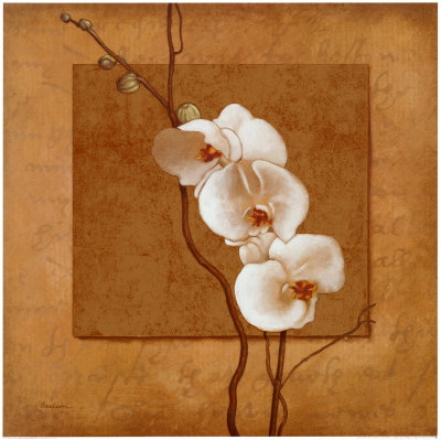 Golden Orchid I Print Golden Orchid I Print