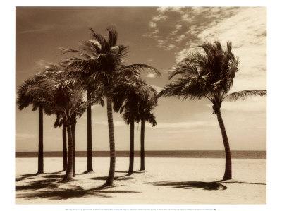 Key Biscayne I Print Key Biscayne I Print