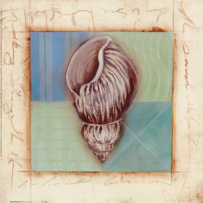 Shell Accents III Print Shell Accents III Print