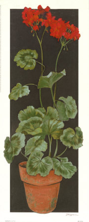Geranium II Print Geranium II Print