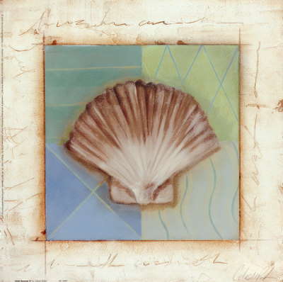 Shell Accents IV Print Shell Accents IV Print