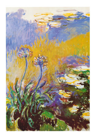 Les Agapanthes Print Les Agapanthes Print