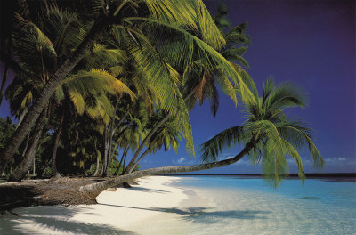 Picturesque Tropical Beach Poster Picturesque Tropical Beach Poster
