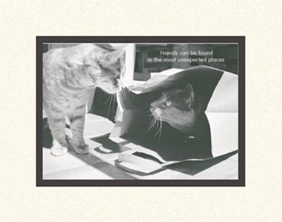 Feline Friends Matted Print Feline Friends Matted Print