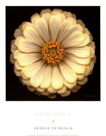 Ambiance Print Ambiance Print