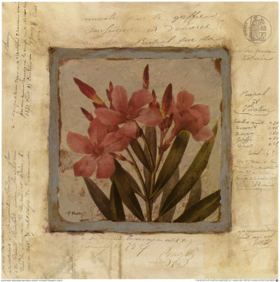Oleander Fragment Print Oleander Fragment Print