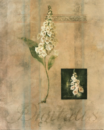 Digitalis Print Digitalis Print