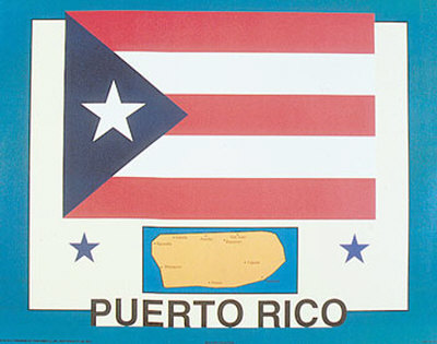 Flag of Puerto Rico Print Flag of Puerto Rico Print