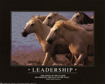 Leadership and Horses Print Leadership and Horses Print