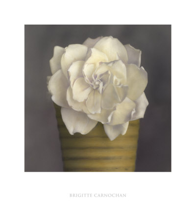 Gardenia in Yellow Pot Print Gardenia in Yellow Pot Print