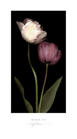 Grace III Print Grace III Print