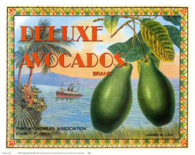 Deluxe Avacados Print Deluxe Avacados Print