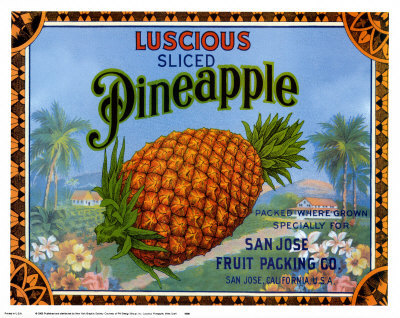 Luscious Pineapple Print Luscious Pineapple Print